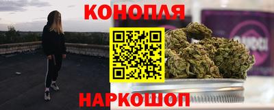 гидропоника Камышлов