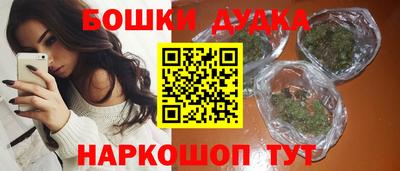 гидропоника Камышлов
