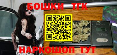 гидропоника Камышлов