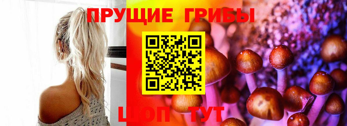Галлюциногенные грибы прущие грибы  Псилоцибиновые грибы мухоморы  Кумертау  Вход с VPN 